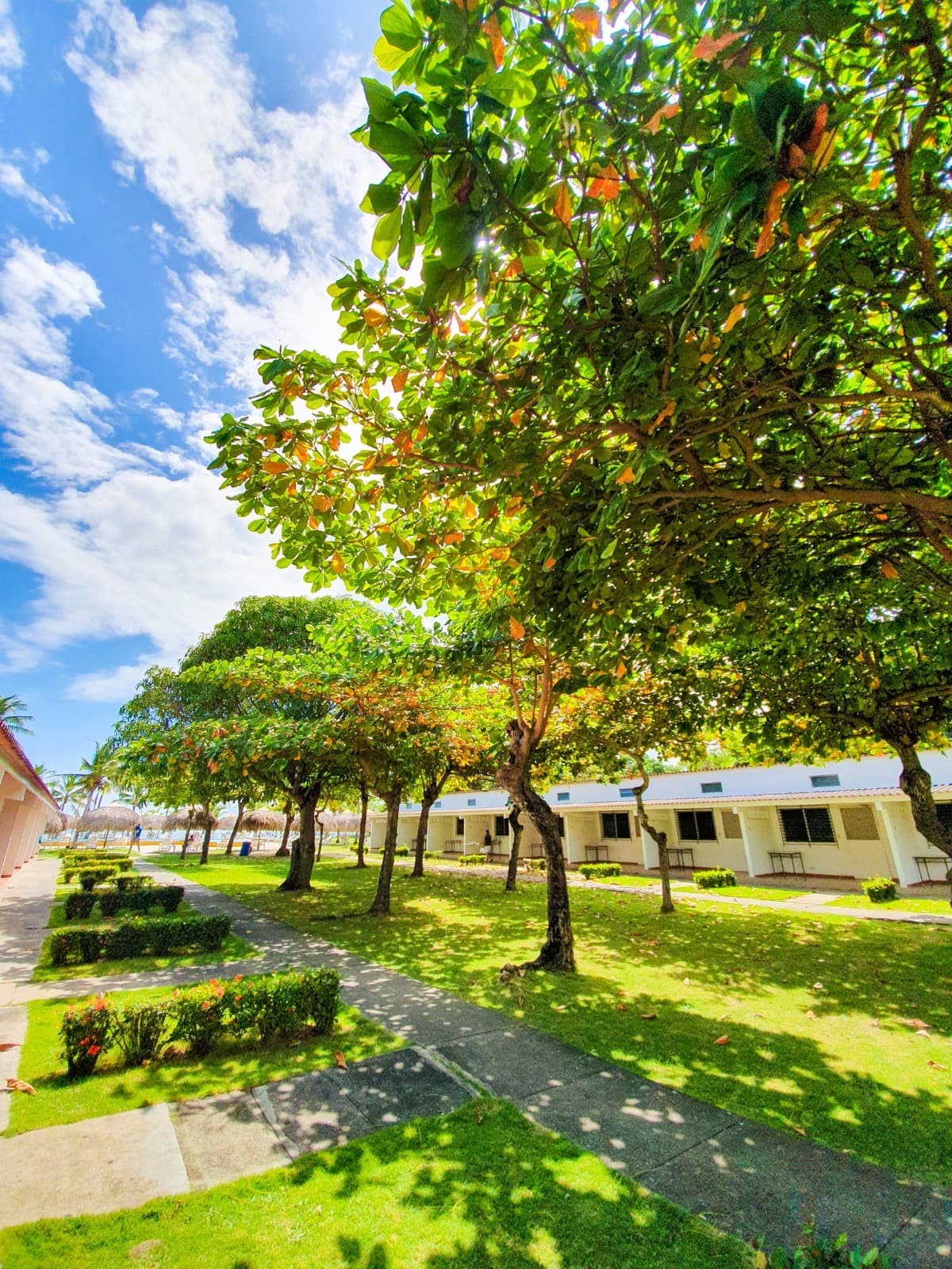 Cabañas entre jardines