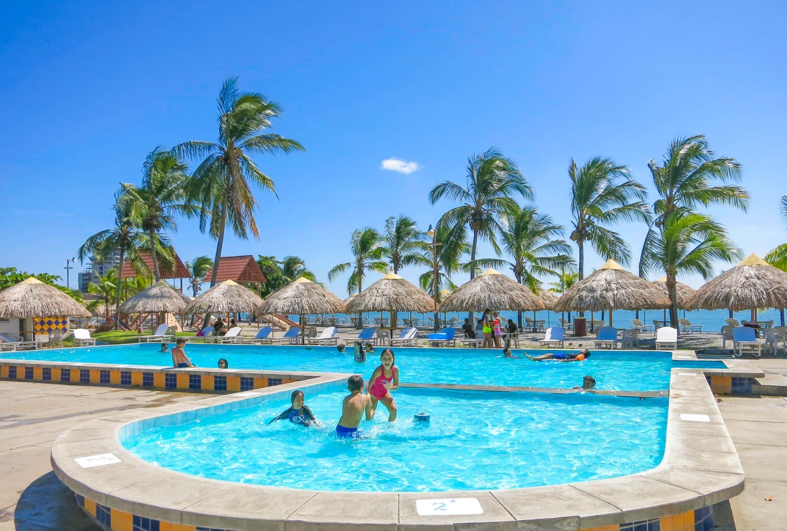 Piscina grande con palmeras